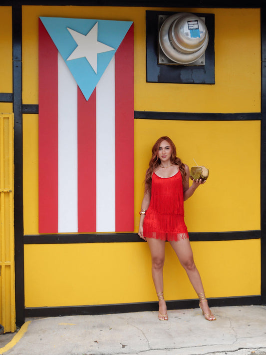 Red Fringe Mini Dress